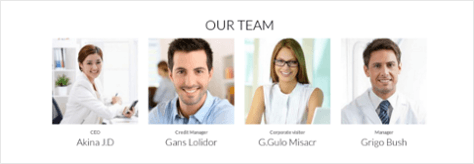 Team in Drupal business theme