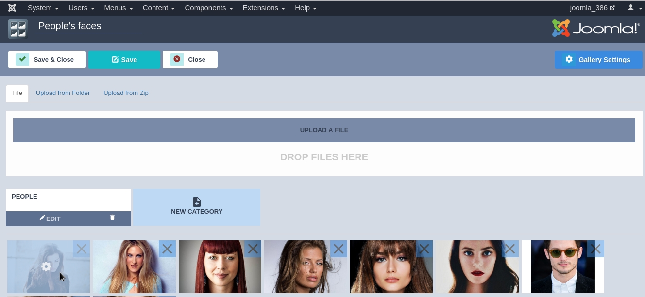 Joomla Image Gallery - Joomla Gallery extension, how to change images name, title, link, target