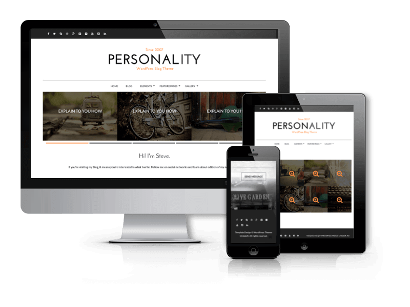 Best WordPress Themes 2015 from OrdaSoft - Personality