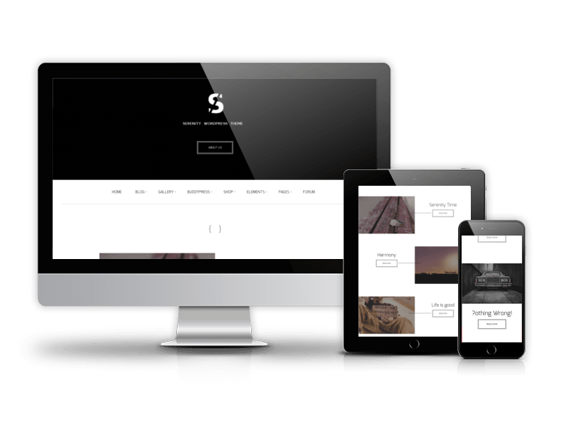 Best Business WordPress theme 2015 from OrdaSoft - Serenity