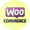 WordPress eCommerce theme