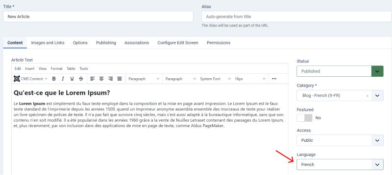 multilingual joomla website language to french