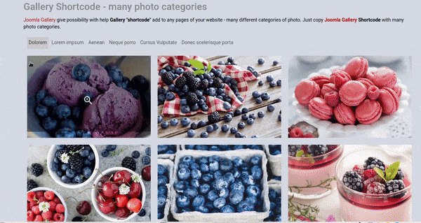 Use Gallery Joomla Shortcode with many categories of images