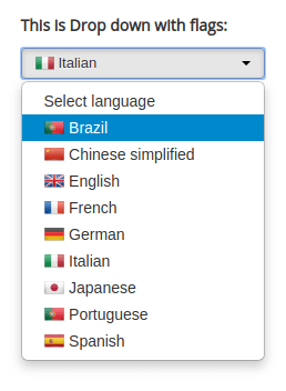 choose language in select list with flag