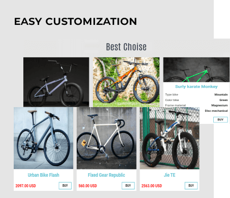 Bicycle website template customization