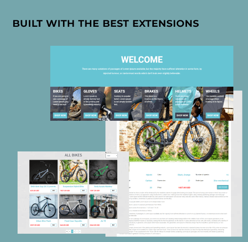 Bicycle website template extensions