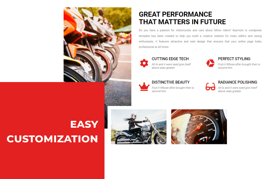 Bike website template customization