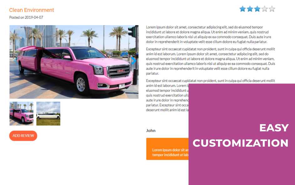 limousine website template customization