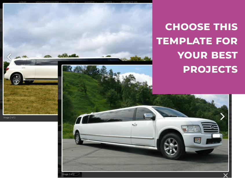 limousine website template projects