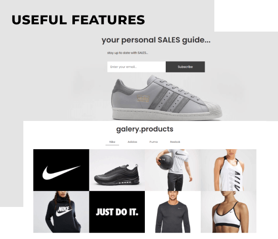sport store website template features