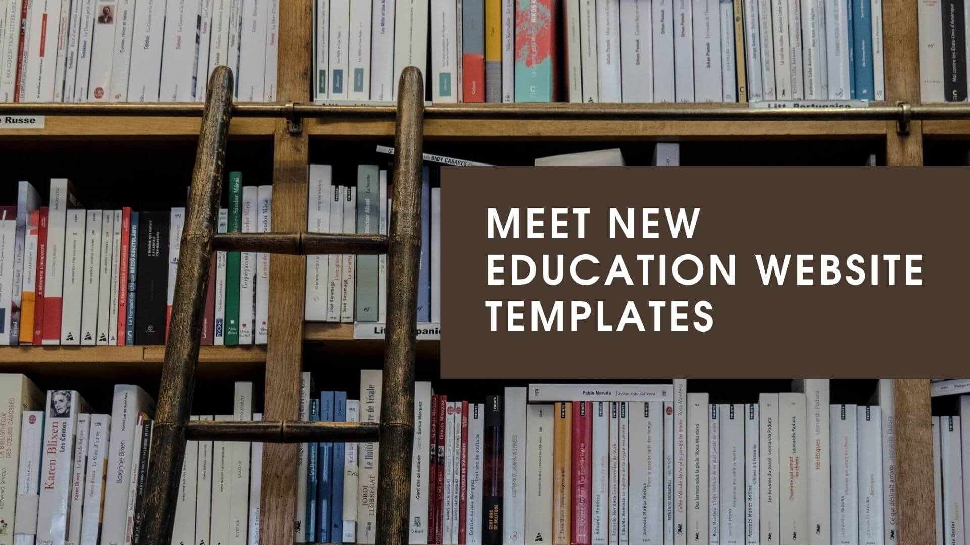 Education Website Templates