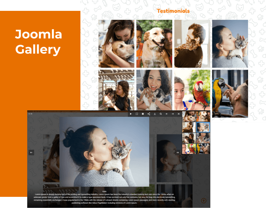 pet shop website template gallery