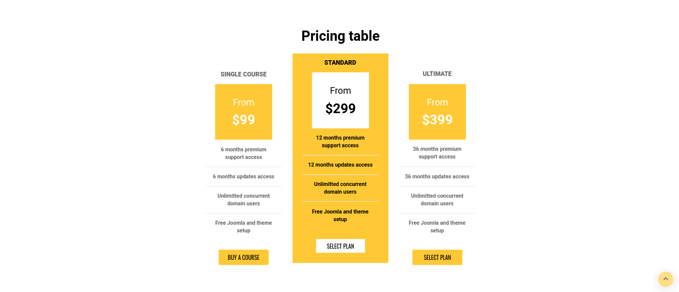 university website template pricing