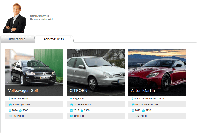 car rental website template agents