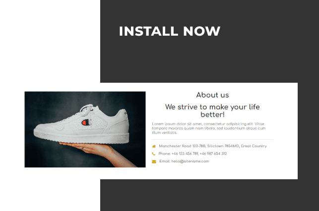 shoe store free ecommerce website template install