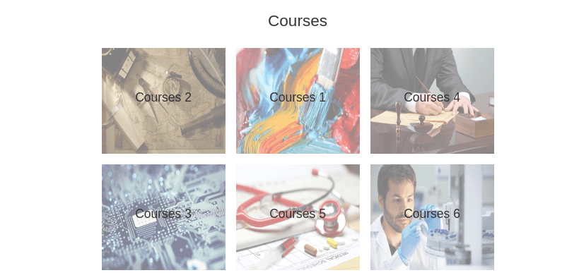 wordpress education theme courses