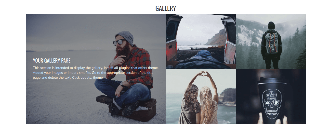 Riddle Business Wordpress theme gallery