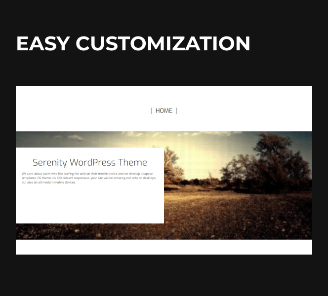 business wordpress theme easy customization