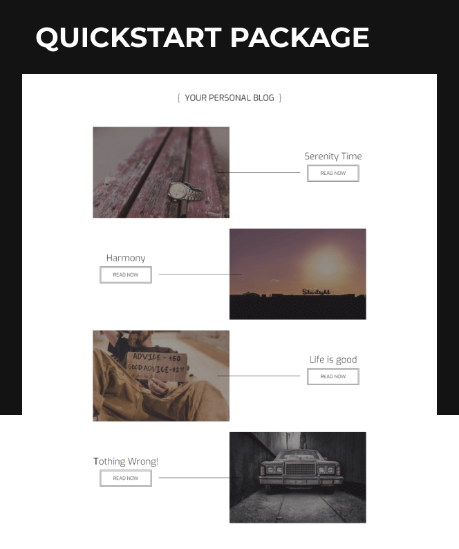 business wordpress theme quickstart package