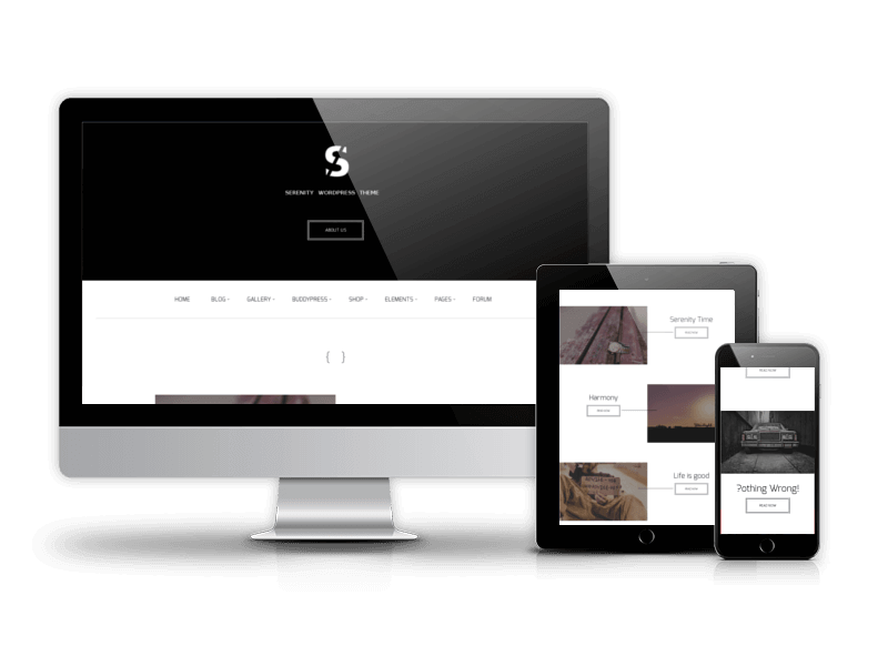 Business WordPress theme Serenity