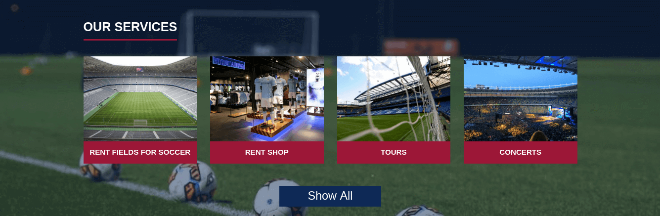 Football Wordpress Theme services