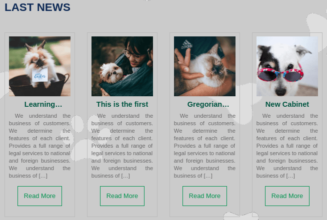 veterinary wordpress theme news