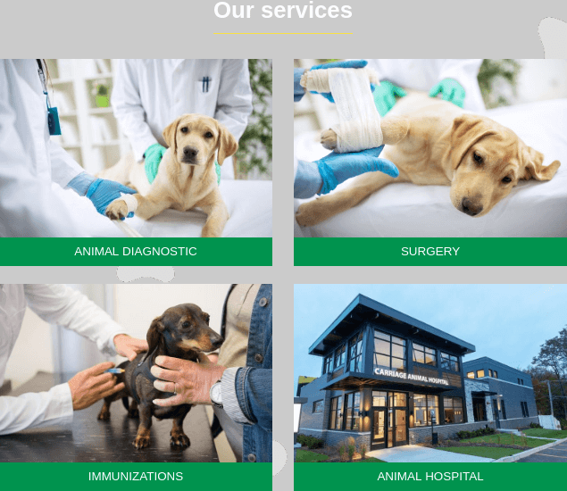 veterinary wordpress theme services