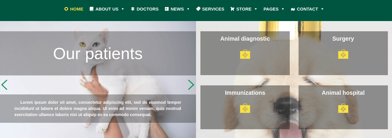 veterinary wordpress theme slider