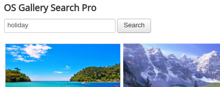 search module for photo gallery
