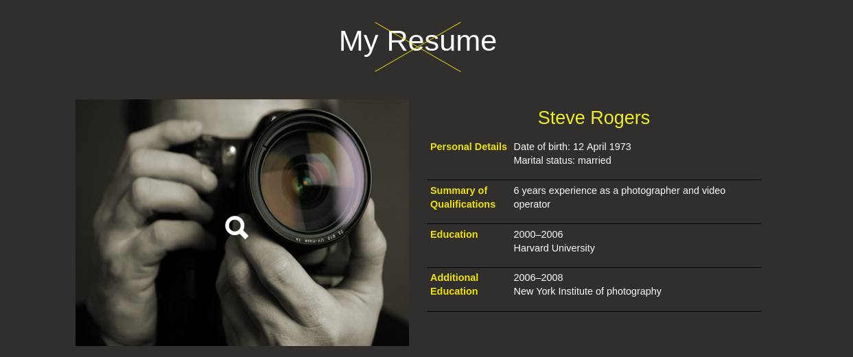 WordPress Resume Theme