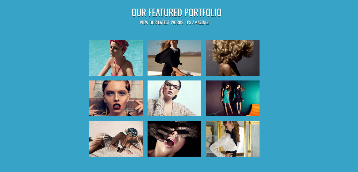 one page wordpress theme Portfolio